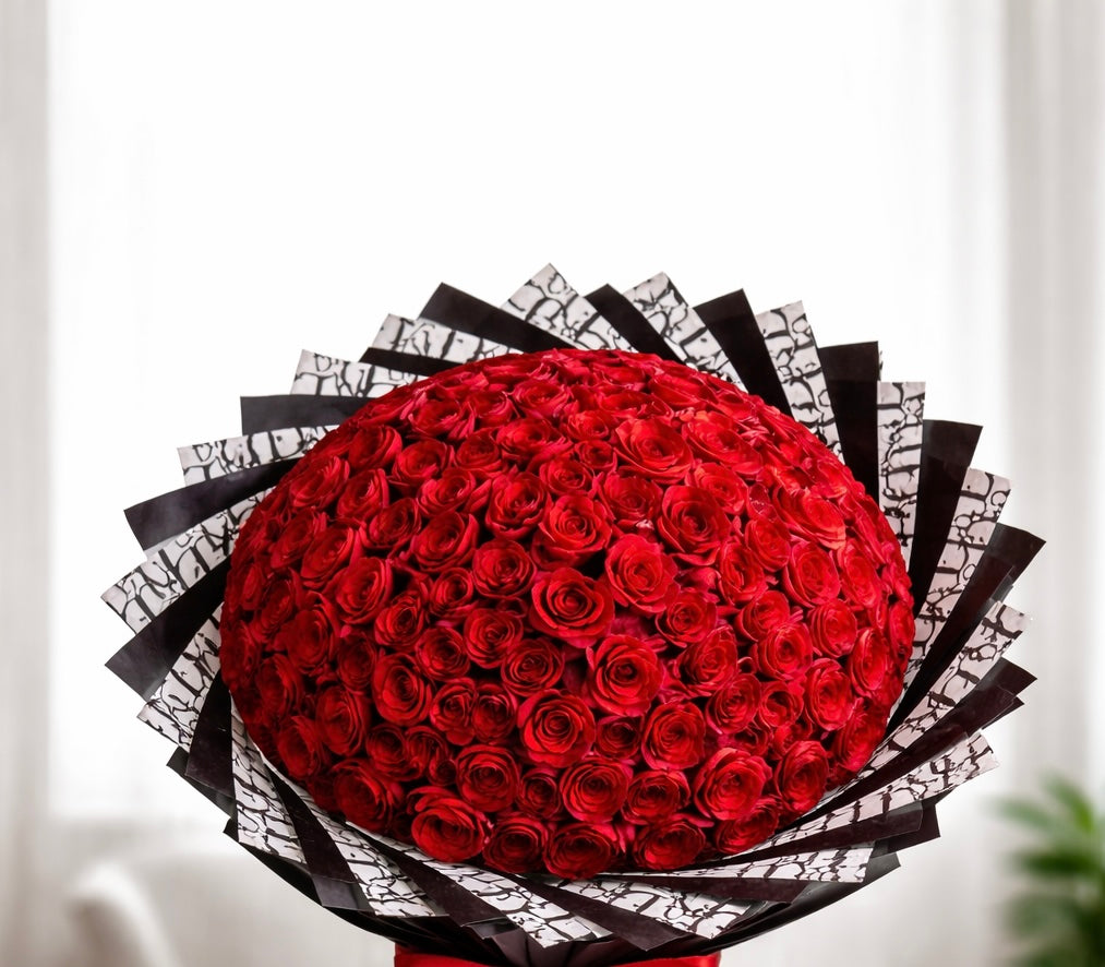 100 Rosas Rojas – Ramo Buchón Premium de Lujo ❤️✨